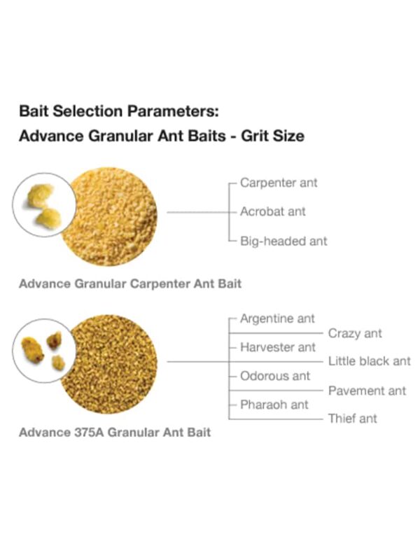 Advance Granular Ant Bait - Grit Size