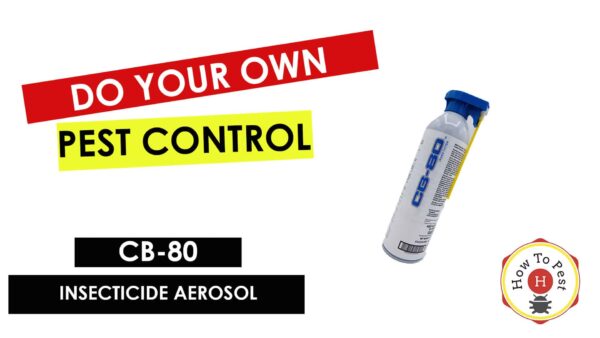 How To Do My Own Pest Control - How To Use CB-80 Insecticide - HowToPest.com