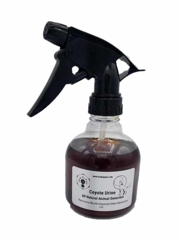 Coyote Urine Spray Deterrent
