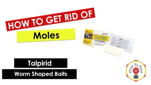 How To Get Rid of Moles - How To Use Talpirid Mole Bait - HowToPest.com