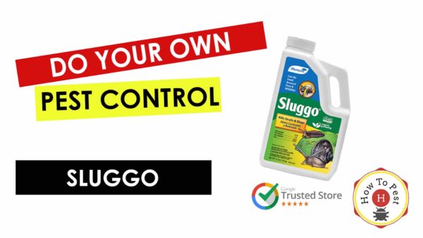 How To Get Rid of Snails and Slugs - How To Use Sluggo - HowToPest.com