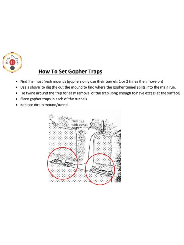 How To Set Gopher Traps - HowToPest.com