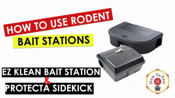 How To Use Rodent Bait Stations - EZ Klean Bait Stations and Protecta SideKick