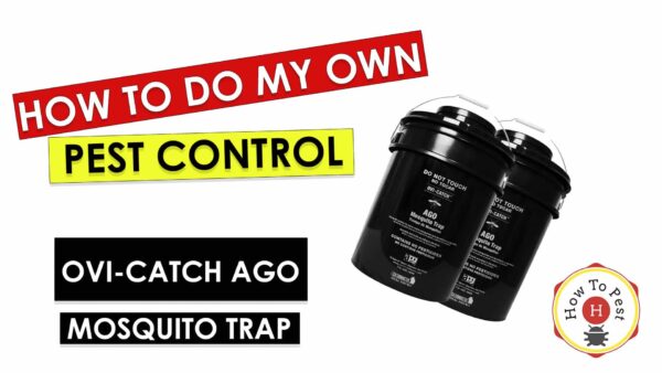 How To Do My Own Pest Control - How To Use Ovi-Catch AGO Mosquito Trap