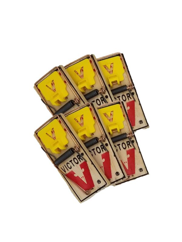 Victor Easy Set Mouse Traps - 6 Pack