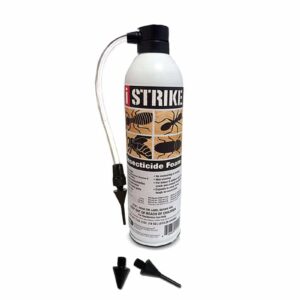 iStrike Insecticide Foam - 18oz.